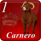 B01 CARNERO