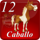 C12 CABALLO