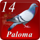 C14 PALOMA