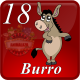 C18 BURRO