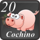 C20 COCHINO