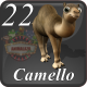 D22 CAMELLO