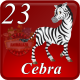 D23 CEBRA