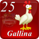 D25 GALLINA