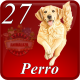 D27 PERRO