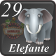 D29 ELEFANTE