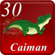 D30 CAIMAN
