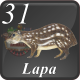 E31 LAPA