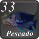 E33 PESCADO