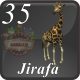 E35 JIRAFA